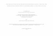 A THESIS in Environmental and Urban Geosciences