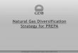 Natural Gas Diversification Strategy for PREPA