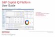 S&P Capital IQ Platform User Guide