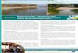 Danube River Basin - Harmonising inland, Case Study 3 
