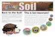Back to the Soil! Why Is Soil Important?