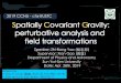2019 CCNU - cfa@USTC Spatially Covariant Gravity 