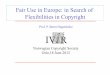 Fair Use in Europe: in Search of Flexibilities in Copyright