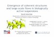 Emergence of coherent structures and large-scale flows in 