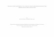 INTERACTION AND IMPACT OF CASSAVA MOSAIC …