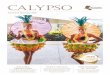 CALYPSO - Palm Lake Resort