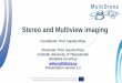Stereo and Multiview imaging - auth
