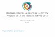 Reducing Harm, Supporting Recovery Implementation Plan