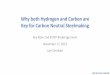 Why both Hydrogen and Carbon are Key for Carbon Neutral 