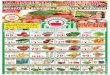Papaya Cebolla Roja 79 - fruterialahaciendafarmersmarket.com