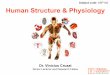 Subject code: HSP102 Human Structure & Physiology
