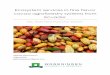 Ecosystem services in fine flavor cocoa agroforestry 