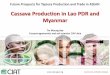 Cassava Production in Lao PDR and Myanmar
