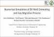 Numerical Simulation of Oil Well Cementing and Gas 