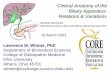 Clinical Anatomy of the Biliary Apparatus: Relations 