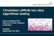 Clostridium difficile two-step algorithmic testing