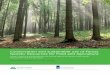 Conservation and sustainable use of Forest Genetic 