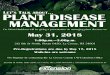 LET S TALK ABOUT PLANT DISEASE MANAGEMENT