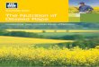 Knowledge grows The Nutrition of Oilseed Rape