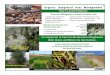 1 Organic Integrated Pest Management - Pennsylvania Envirothon