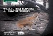 Wildlife first response training for NSW firefighters