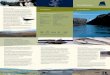 Out Skerries leaflet - Shetland Heritage