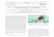 Sound characterization of the European lobster Homarus 