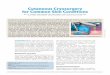Cutaneous Cryosurgery for Common Skin Conditions