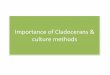 Importance of cladoceran & mass culture methods