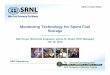 Monitoring Technology for Spent Fuel Storage