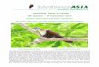 Leaders: James Eaton and Robert Hutchinson - Welcome to Birdtour Asia