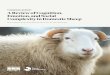 THINKING SHEEP: A Review of Cognition, Emotion, and Social 