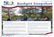 Fiscal Year 2016 Budget Snapshot - napervilleparks.org