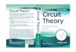 Second Circuit Theory