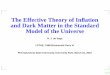 The Effective Theory of Inﬂation and Dark Matter in the 