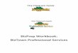 BizPrep Workbook: BizTown Professional Services