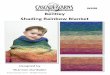 Bentley Shading Rainbow Blanket - Cascade Yarns