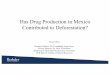 Has Drug Production in Mexico Contributed to Deforestation?