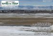 2013 Winter Newsletter - Colorado Sports Turf Managers Association