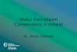 Malus Germplasm Conservation in Ireland