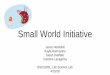 Small World Initiative - Florida Atlantic University