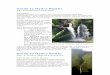 Guide to Hydro Power - Fantastic Farms