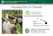 AQUAPONICS IN HAWAII Aquaponics in Hawaii