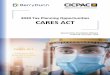 Tax Planning Opportunities: CARES Act