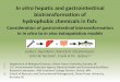 In vitro hepatic and gastrointestinal biotransformation of 
