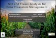 Soil and Tissue Analysis for Corn Potassium Management