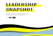 Leadership Insights Infographic