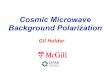 Cosmic Microwave Background Polarization