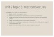 Unit 2 Topic 3: Macromolecules - KARA BEDFORD