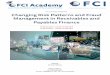 FCI ACADEMY WEBINARS Changing Risk Patterns and Fraud 